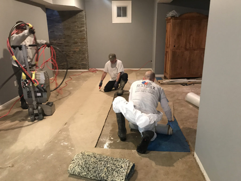 Mold Damage Repair And Cleanup Fairfield County