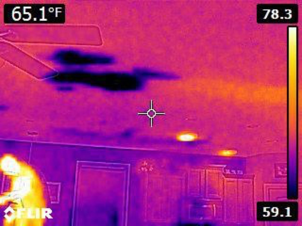 How to Detect Water Damage with an Infrared Camera