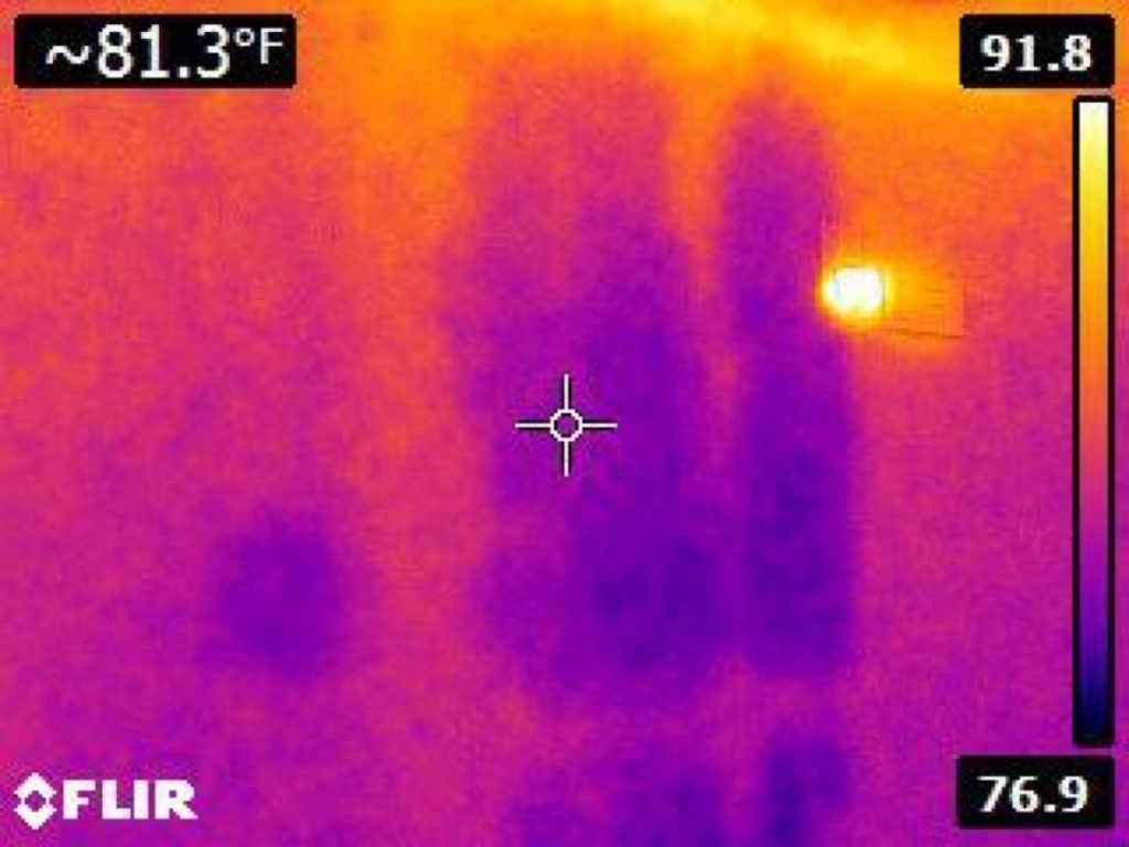 Infrared Detection of Water Damage